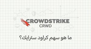 ما هو سهم شركة CrowdStrike (CRWD)؟
