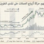 كيف أبني فهمًا طويل الأمد لحركة أزواج العملات؟