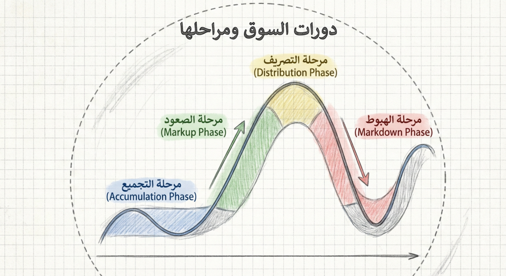 ما هي دورات السوق ومراحلها (Market Cycles and Phases)؟