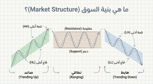 ما هي بنية السوق (Market Structure)؟