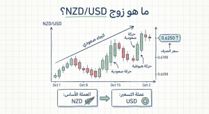 ما هو زوج NZD/USD؟