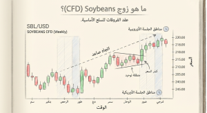 ما هو زوج Soybeans (CFD)؟