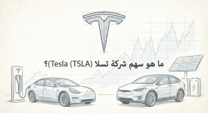 ما هو سهم شركة تسلا Tesla (TSLA)؟