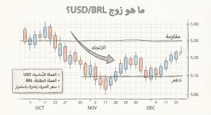 ما هو زوج USD/BRL؟
