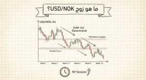 ما هو زوج USD/NOK؟